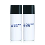 Stevens Transport Trailer Grey Aerosol Kit With Paint And Clearcoat. Fixed Price $49.99.