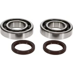 Pro Crankshaft Bearing And Seal Kit CSB1WUF-X001-Y002. Fixed Price $39.32.