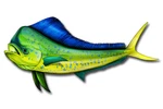 24" Mahi Sticker Dolphin Fishing Boat Trailer Truck Vehicle Camper Rv Decal. Fixed Price $29.95.